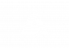 Aciturri